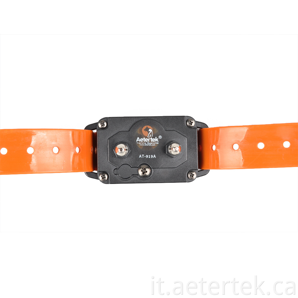 Auto Anti Bark Collar